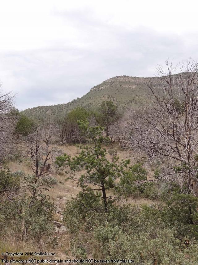 Cheap camping lots in Timberon NM